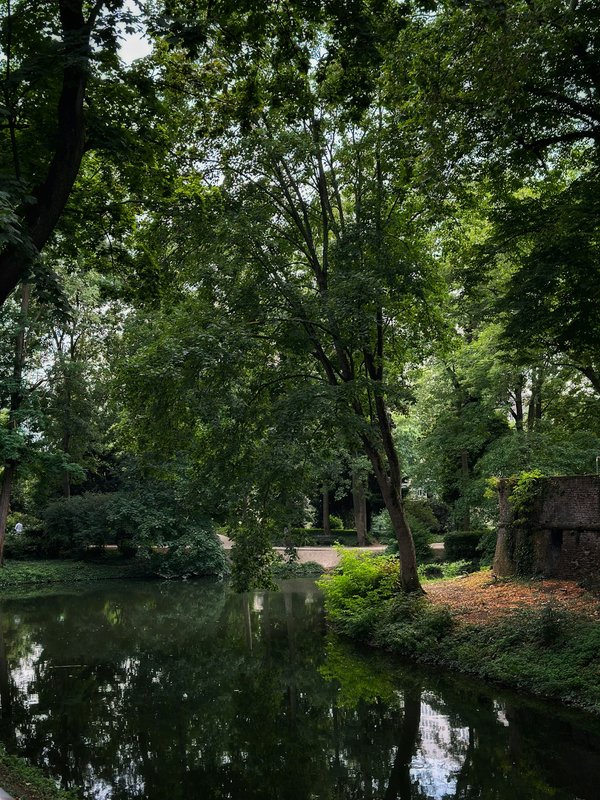 What's the Most Effective Natural Soil Amendment for Increasing Earthworm Activity in UK Gardens?